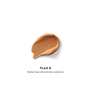 Vanish Airbrush Concealer