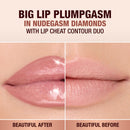 Pillow Talk Big Lip Plumpgasm