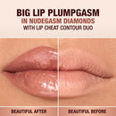 Pillow Talk Big Lip Plumpgasm