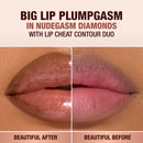 Pillow Talk Big Lip Plumpgasm