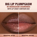 Pillow Talk Big Lip Plumpgasm