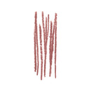 Lip Liner Pencil