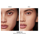 Vanish Airbrush Concealer